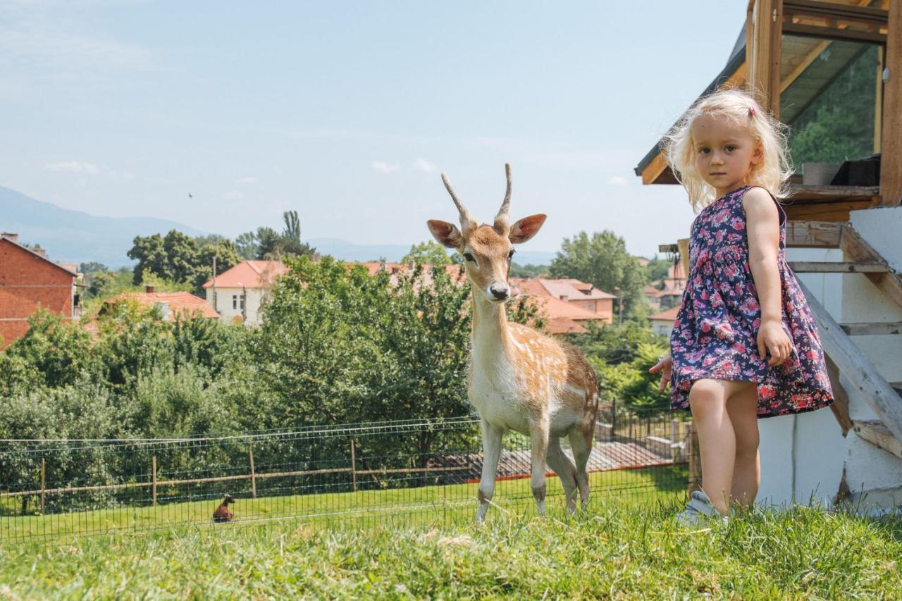 Tihiat Kut Complex Otel Köstendil Dış mekan fotoğraf